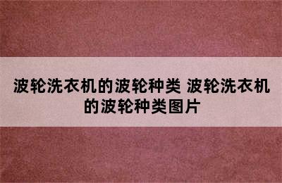 波轮洗衣机的波轮种类 波轮洗衣机的波轮种类图片